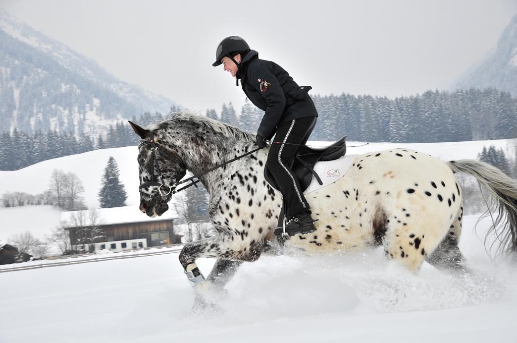 Der Landhof Daire Oberstdorf Dış mekan fotoğraf